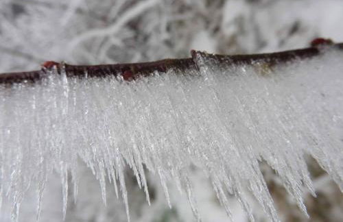 Ferienhaus Hornauer - Foto 35