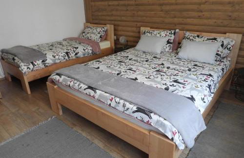 Zimski san - Foto 49