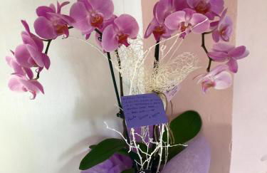 Montello Sweet House IUN Q5874 - Foto 7