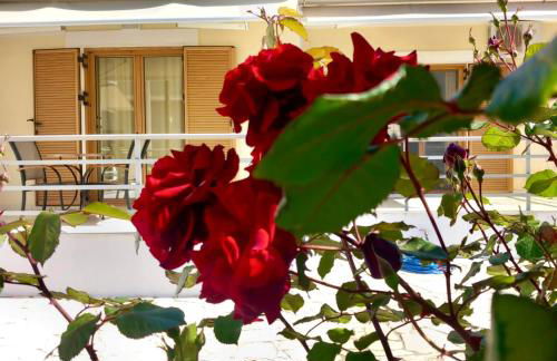 Eleni Suites Methoni - Photo 37