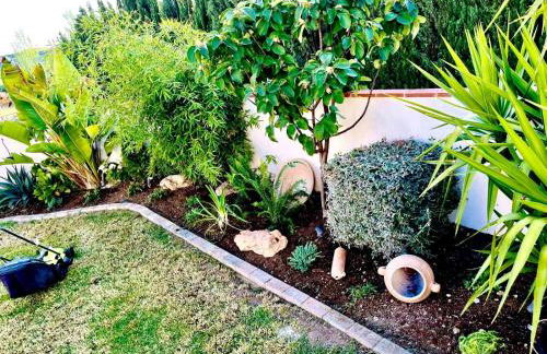 Villavillanos - Photo 12