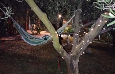 Green Olive Studios - Photo 51