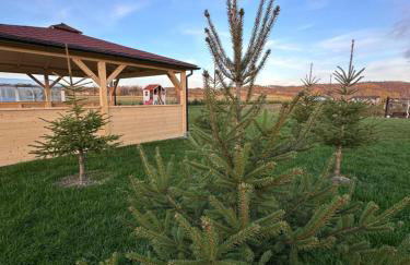 Domki Nad Sanem Bachórzec 6a - Foto 34