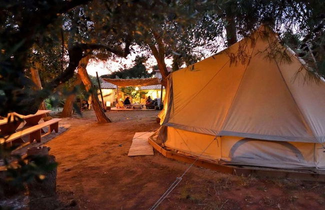 Cocoon Tent in an Olive Grove - Photo 34