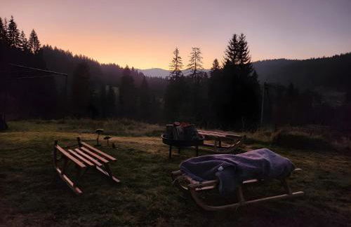 Alte Schmiede 2 Fewos - Foto 6