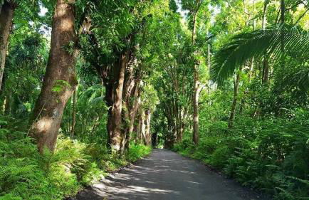 Maluhia Kahakai 2 Bedroom Condo by RedAwning - Foto 80