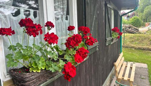 Domek Pawła - Foto 4