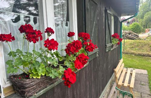 Domek Pawła - Photo 4