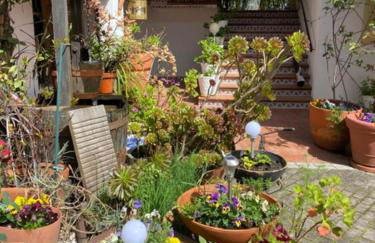 Casa Gelasio Private Pool - Foto 151