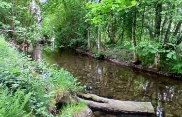 Gite de l'Écureuil - Foto 11