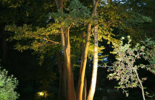 Willa Różana - Foto 40