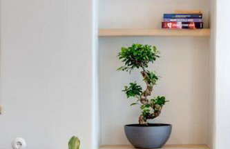 Nomade vibrant living loft - Foto 23