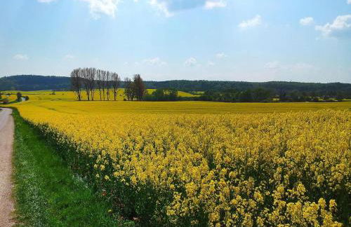 Ferienhaus in Neukalen - Foto 28