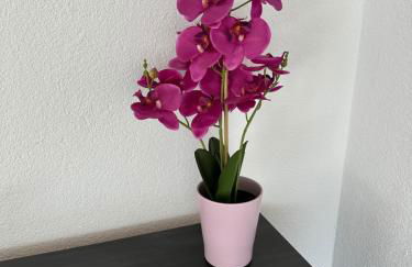 Traumhafte Ferienwohnung - Photo 20