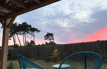 Santa Monta - Foto 8