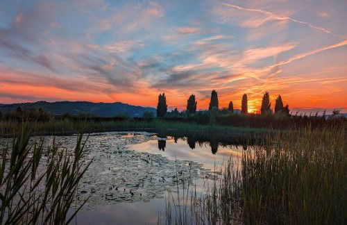 Libero Ranch - Foto 21