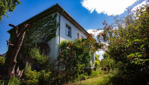 Ferienwohnung Fläming - Foto 2, Garden, Garden view