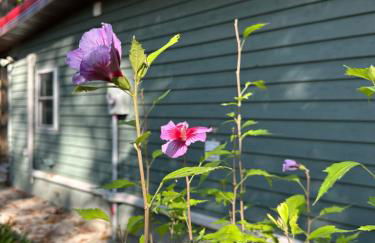 Lakeside Cabin - Serene Retreat with Lake Monroe Views and Wraparound Deck in Brown County - Foto 36