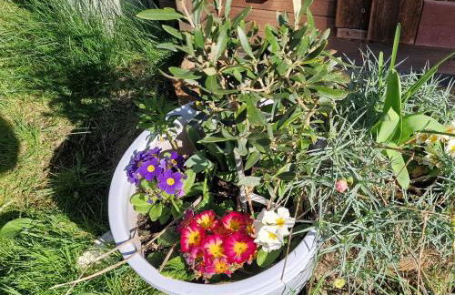 Cherry Orchard Retreat - Photo 6