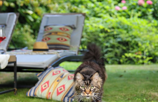 La casa Arancione - Foto 49