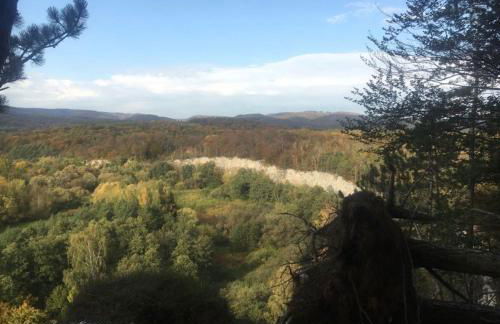 Ferienhaus Kleine Auszeit - Foto 65