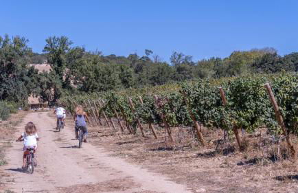 Quinta das Murgas - Photo 14