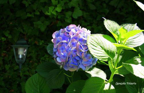 Casa Da Rocha - Foto 26