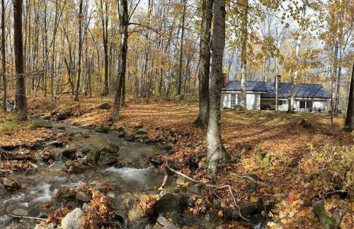 Classic VT Aframe - Minutes to Mountains - Foto 25