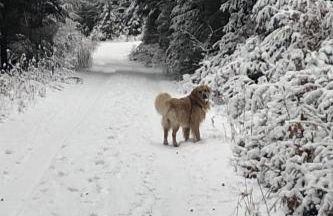 Holiday Home Emma by Interhome - Foto 24