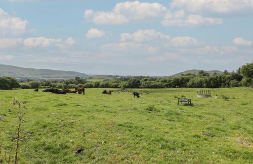 Dysynni Pod - Foto 12