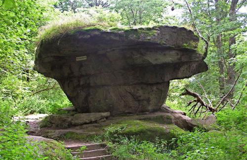 Tolle Ferienwohnung mit Loggia in Schauenstein 100qm bei Hof an der Saale Frankenwald - Foto 49