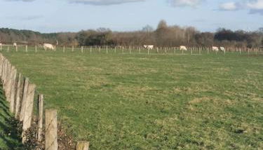 Maison neuve au calme à 2 pas du Mans et des 24h. - Foto 3