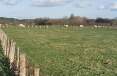 Maison neuve au calme à 2 pas du Mans et des 24h. - Photo 3
