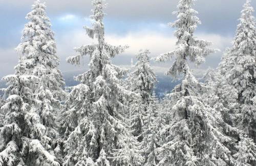 Ferienwohnung Pedall - Foto 13