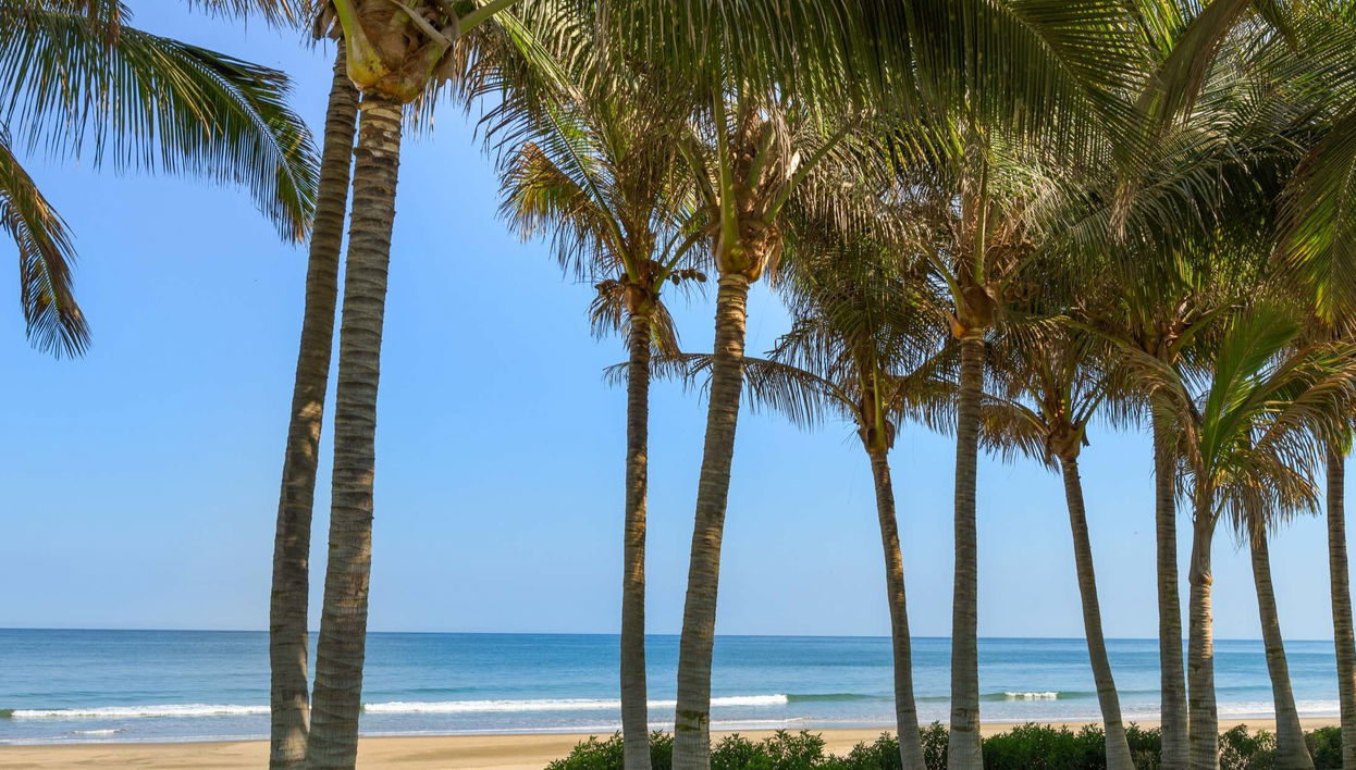 Excursão a Máncora + Nadar com tartarugas