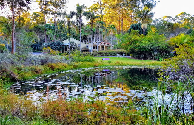 Kiwarrak Country Retreat - Foto 25