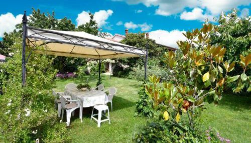 Apartment Slavica Vrvari - Foto 5, Garden