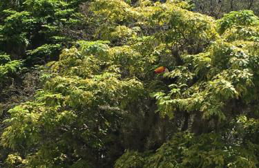 Granja Brasil - Foto 26