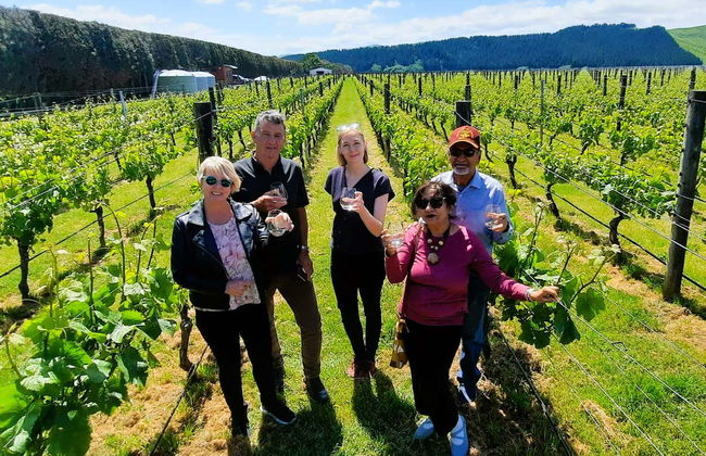 Tour del vino por Martinborough - Foto 7