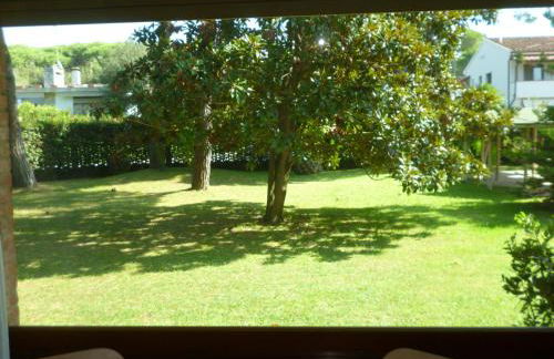 il geranio - Foto 25