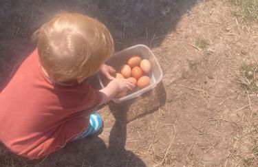 Ruby's Retreat! Farm Stay! North devon! Sleeps 6! Beaches Exmoor! - Foto 37