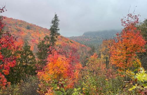 Lutsen Mtn Condo, Ski in Ski out, Pool, Hot Tub, Fitness - Foto 52