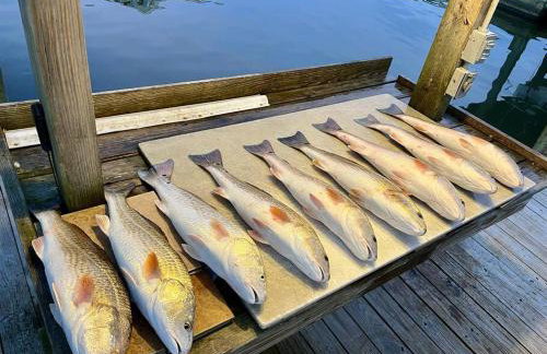 Alright, Alright, Alright by Wanderlust Properties - Foto 28