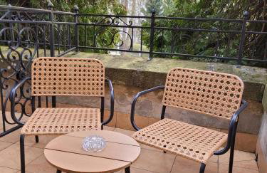 Kot Pocztowy - Foto 14