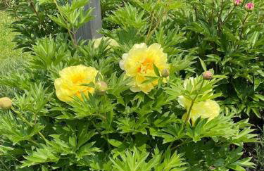 Riverview Suite at La Soledad - Foto 19