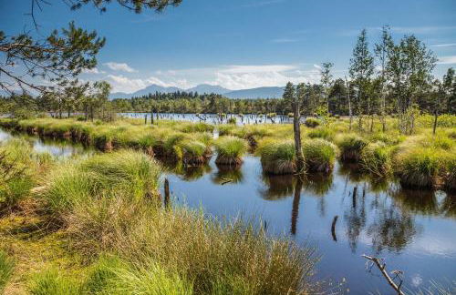 GADEN Apartment - Hotel - Photo 14