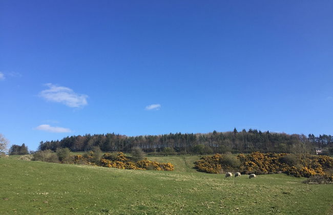 Showman's Hut @ Westcote - Foto 18