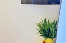 Peaceful Springfield Studio - Foto 13