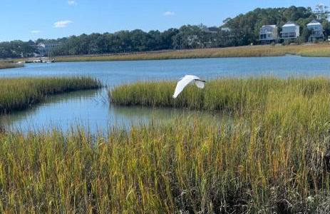 COFFEE on THE BEACH WINE on THE MARSH DOCK - Foto 10