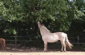 Ferienhof Kruse Wohnung 3 - Foto 29